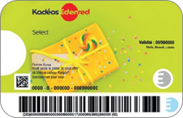 Chèques cadeaux Kadeos - Ticket Select en réduction